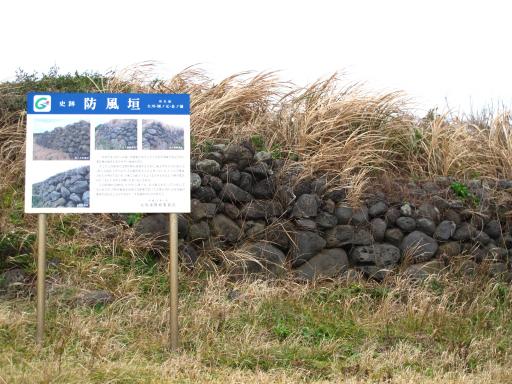 Shelter Hedge (Miirakumachi)
