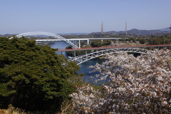 Saikai Bridge & Shin-Saikai Bridge (Cherry Blossom) 2