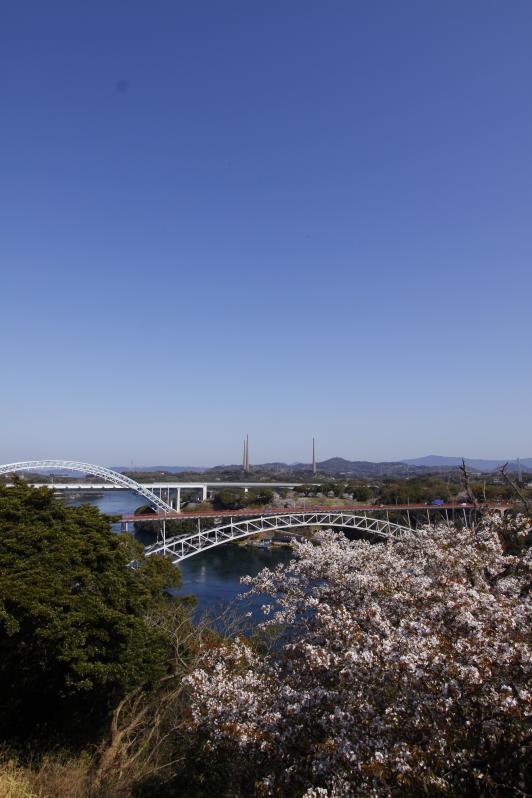 Saikai Bridge & Shin-Saikai Bridge (Cherry Blossom) 3