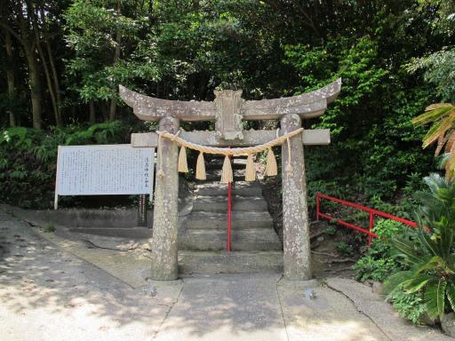 Awashima Shrine - Torii