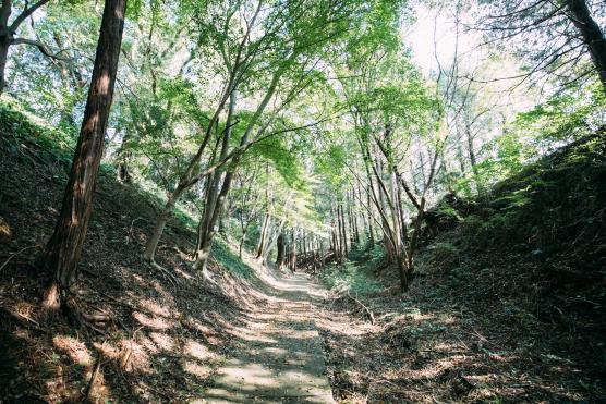 Ishiharadake Forest Park 2