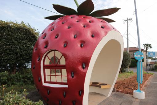Fruit-Shaped Bus Stops（strawberry）2