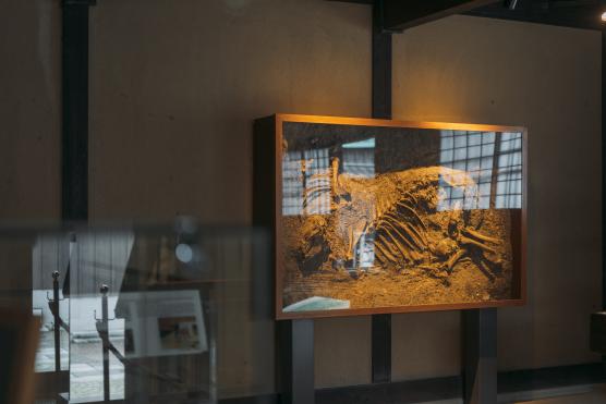 Dejima21©NAGASAKI CITY