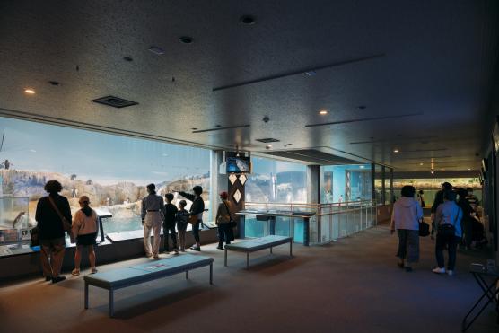 Nagasaki Penguin Aquarium3©NAGASAKI CITY