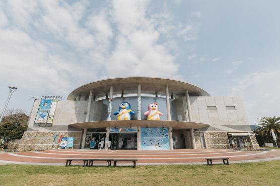 Nagasaki Penguin Aquarium16©NAGASAKI CITY