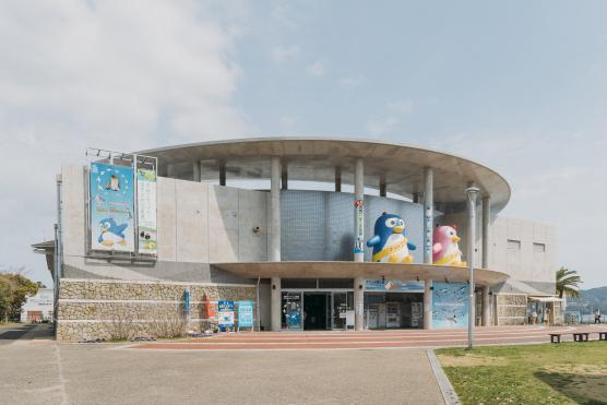 Nagasaki Penguin Aquarium17©NAGASAKI CITY