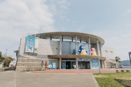 Nagasaki Penguin Aquarium20©NAGASAKI CITY