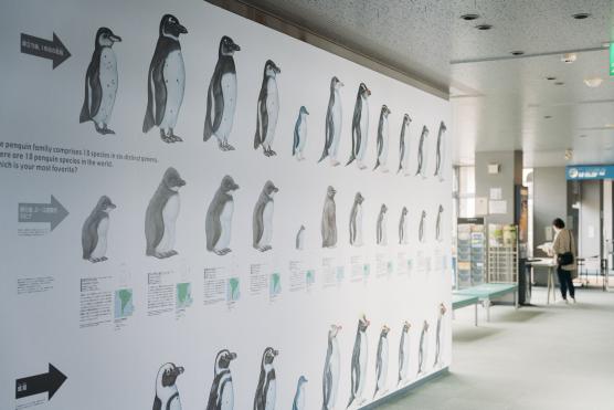 Nagasaki Penguin Aquarium21©NAGASAKI CITY