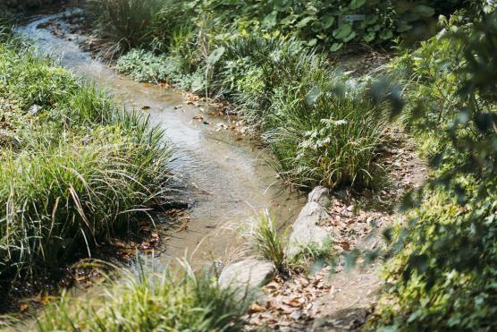 Nagasaki Penguin Aquarium10©NAGASAKI CITY