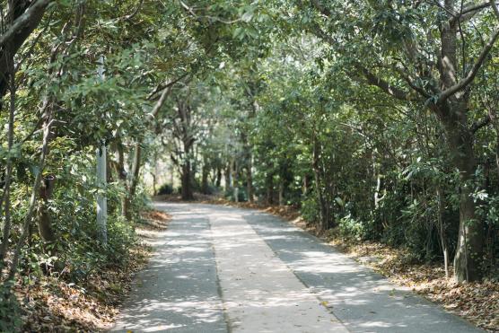 Nagasaki Penguin Aquarium11©NAGASAKI CITY