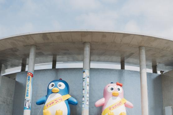 Nagasaki Penguin Aquarium13©NAGASAKI CITY