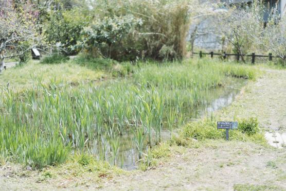 Nagasaki Penguin Aquarium14©NAGASAKI CITY