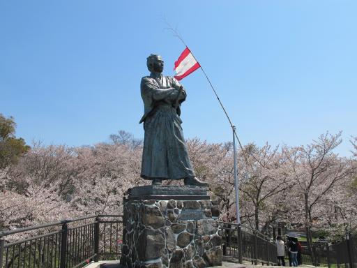 Kazagashira Park - Statue of Sakamoto Ryoma with Cherry Blossom 