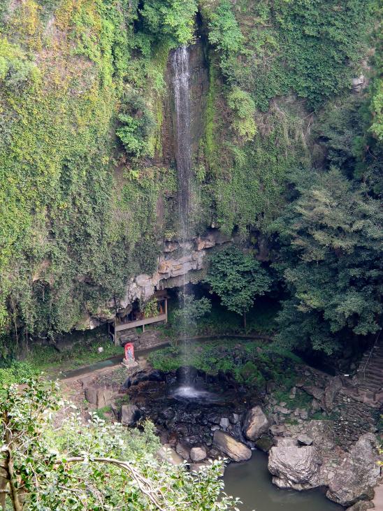 Uraminotaki Shizenkaen Shakunageen (Waterfall & Rhododendron Flower Park) 1