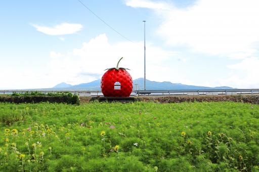 Fruit-Shaped Bus Stops (strawberry) 3