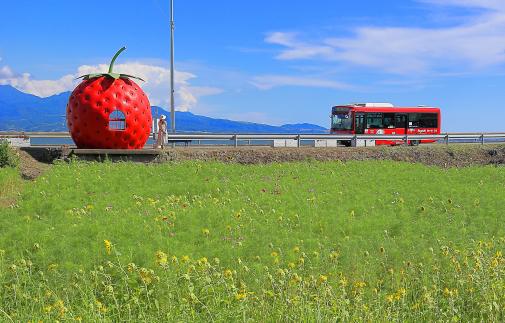 Fruit-Shaped Bus Stops (strawberry ＆ bus) 1