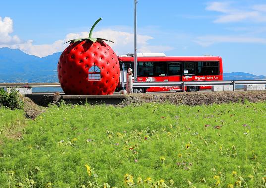 Fruit-Shaped Bus Stops (strawberry ＆ bus) 2