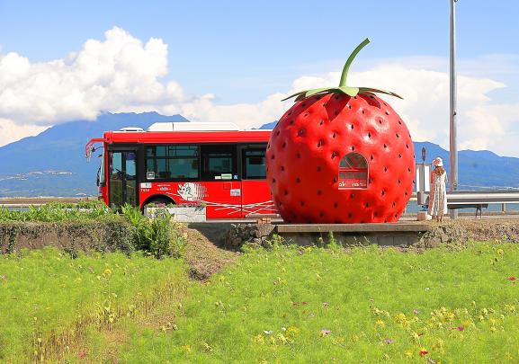 Fruit-Shaped Bus Stops (strawberry ＆ bus) 3