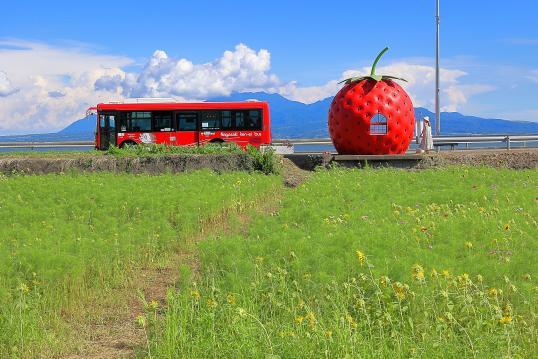 Fruit-Shaped Bus Stops (strawberry ＆ bus) 4
