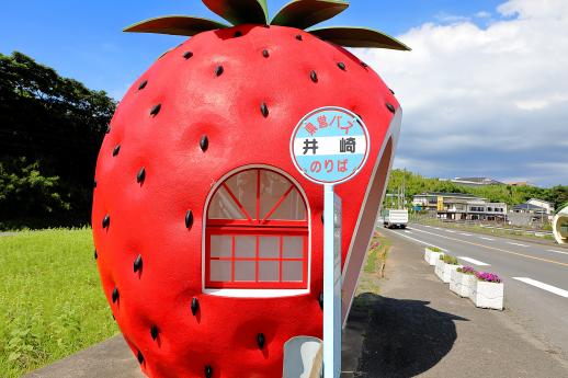 Fruit-Shaped Bus Stops (strawberry) 4