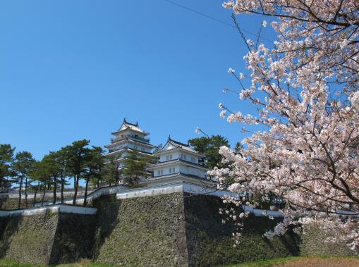 Shimabara Castle & Cherry Blossom 2