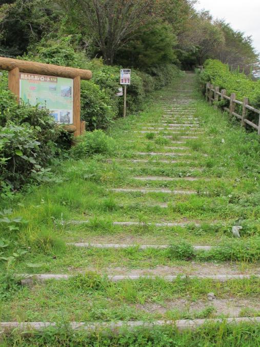 Maitake Fureai Road 8888 Steps 1