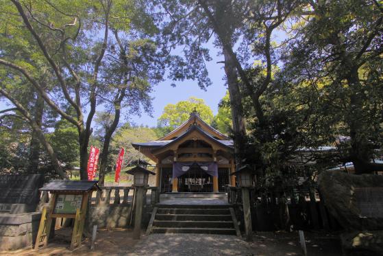 Sumiyoshi Shrine 2