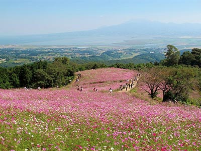 白木峰高原